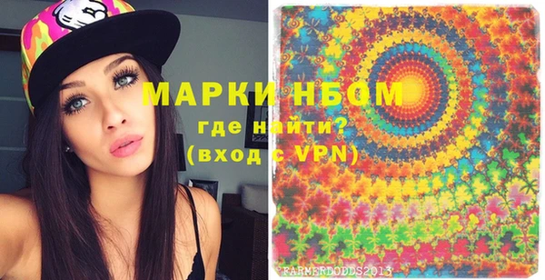 хмурый Алзамай