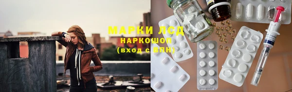 хмурый Алзамай