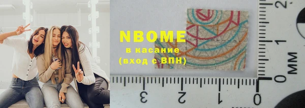 хмурый Алзамай