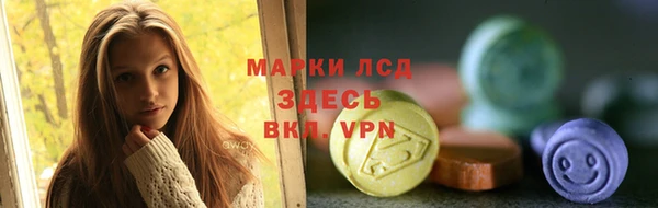хмурый Алзамай