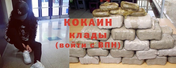 хмурый Алзамай