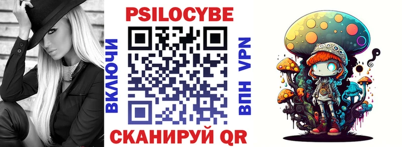 Псилоцибиновые грибы Psilocybe  Краснокамск 